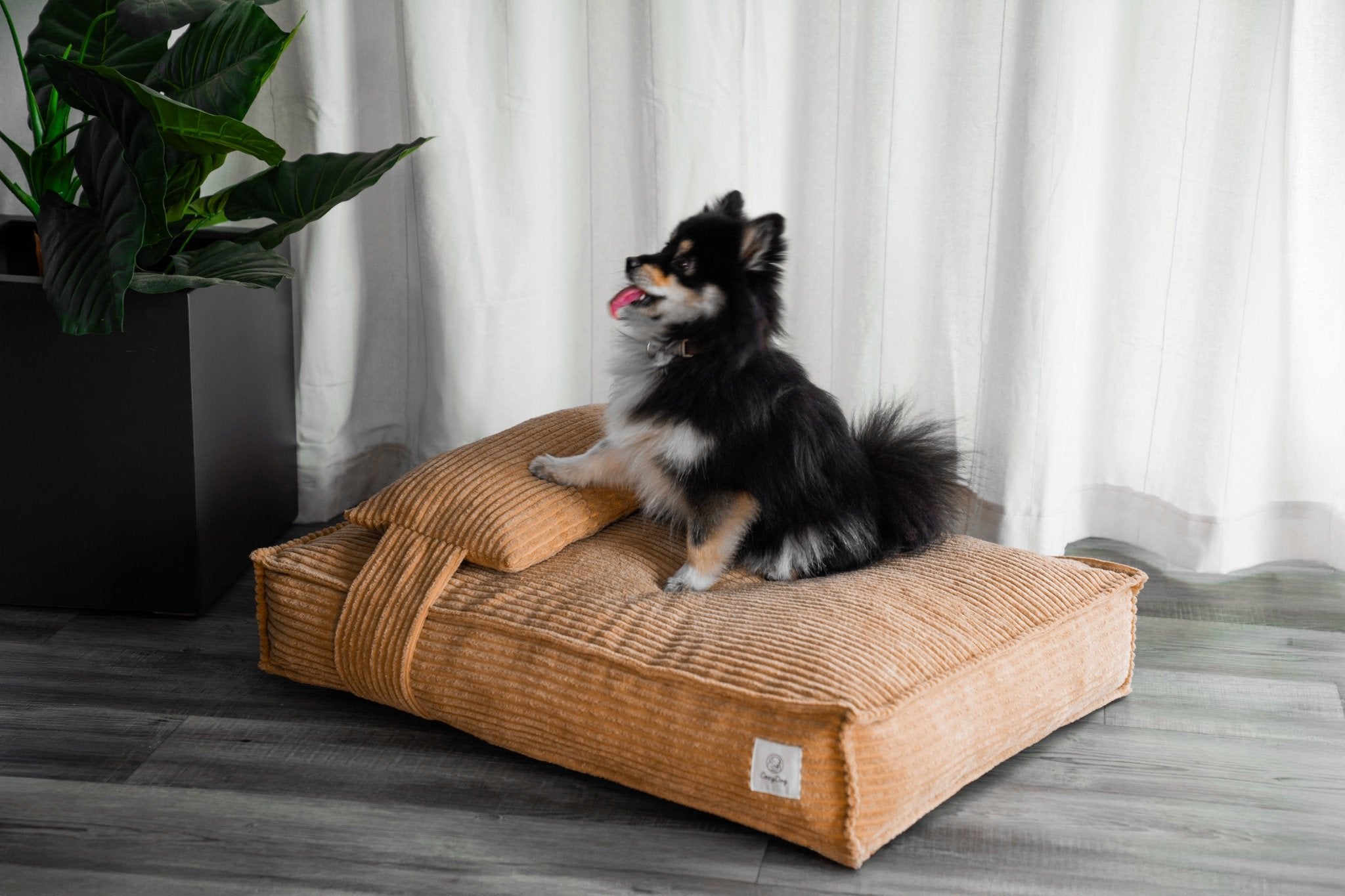 CozyDog Premium Hundebett mit Kopfkissen – Stilvolles Cord-Design