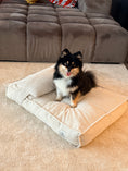 Bild in Galerie-Betrachter laden, CozyDog Premium Hundebett mit Kopfkissen – Stilvolles Cord-Design
