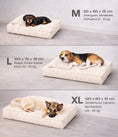 Bild in Galerie-Betrachter laden, CozyDog Premium Hundebett mit Kopfkissen – Stilvolles Cord-Design
